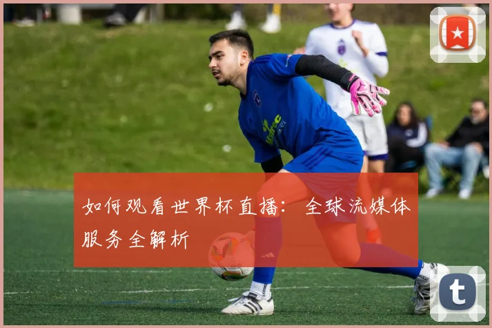 如何观看世界杯直播:全球流媒体服务全解析