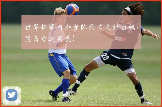 世界杯塞内加尔队死亡之组出线,黑马奇迹再现!